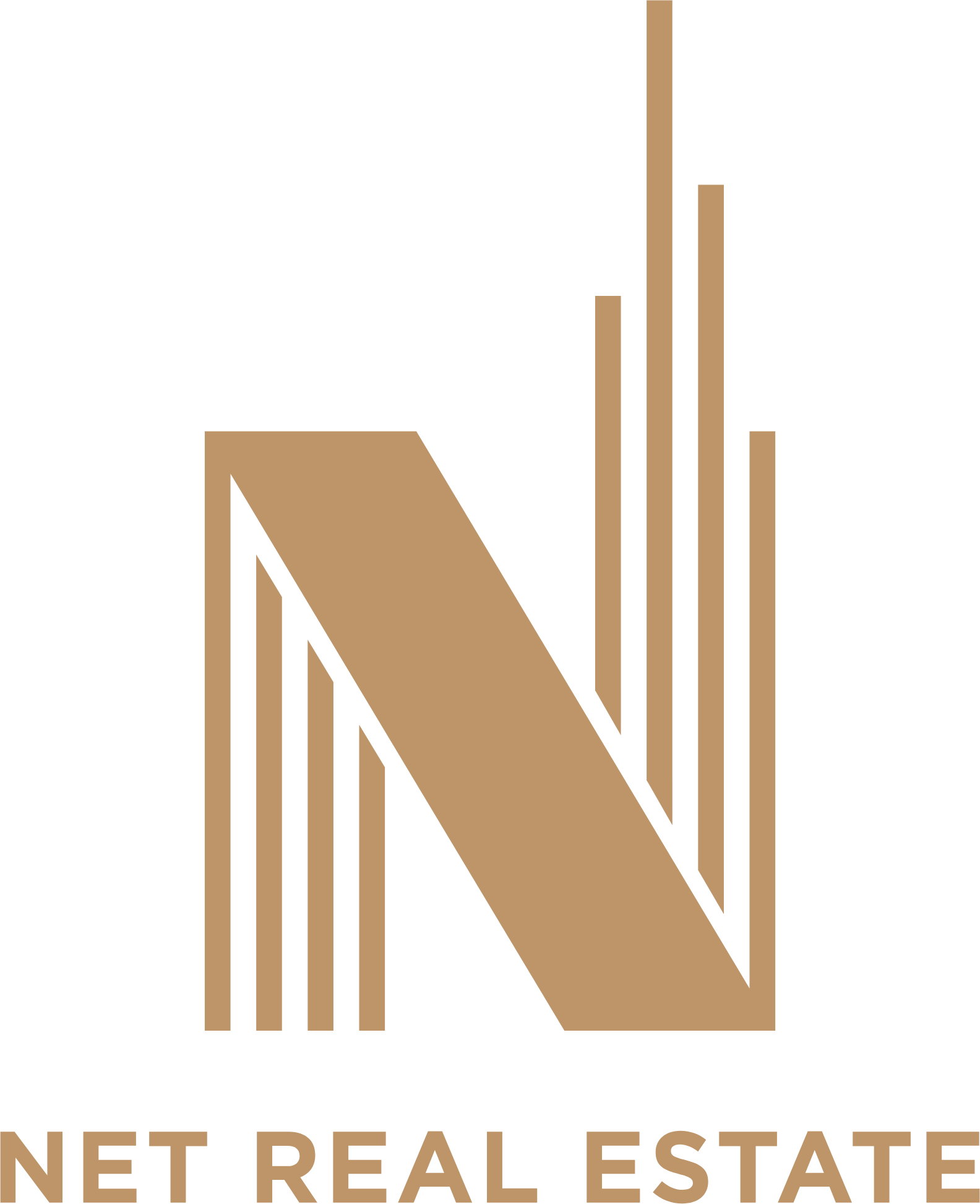 Net logo